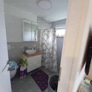 SAMOSTOJEĆA KUĆA S POMOĆNIM OBJEKTOM I PROSTRANOM OKUĆNICOM U ZAPADNOJ ISTRI