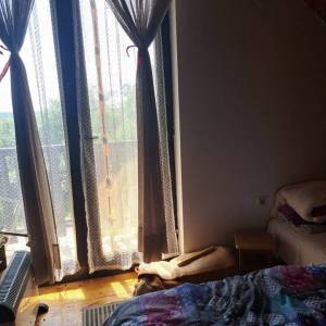 Sesvete-Soblinec, kuća  58m2 s okućnicom na mirnoj lokaciji