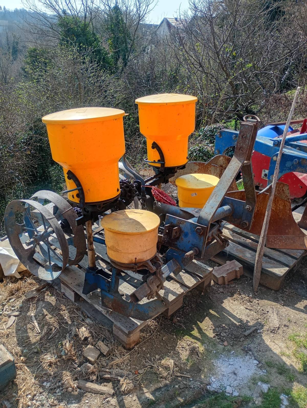 Sijačica dvoredna OCT