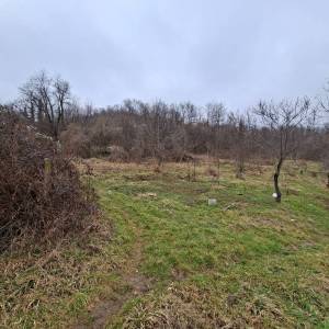 Skenderi, Vrapče, 3.911,00 m2, 140.000,00 EUR