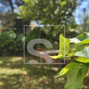 Stan u Banjolama - 4 spavaće sobe - 200 m od mora