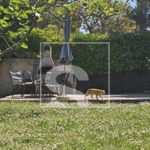 Stan u Banjolama - 4 spavaće sobe - 200 m od mora