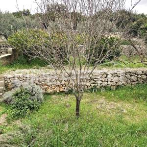 Stan u manjoj stambenoj zgradi s vrtom – Sv Antun, Korčula