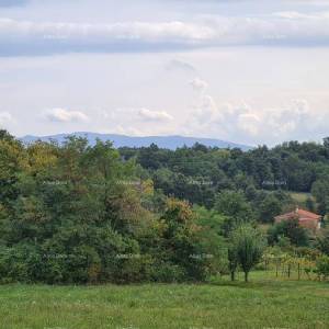 Stare ruševne kuće na velikom terenu od 6880 m2.