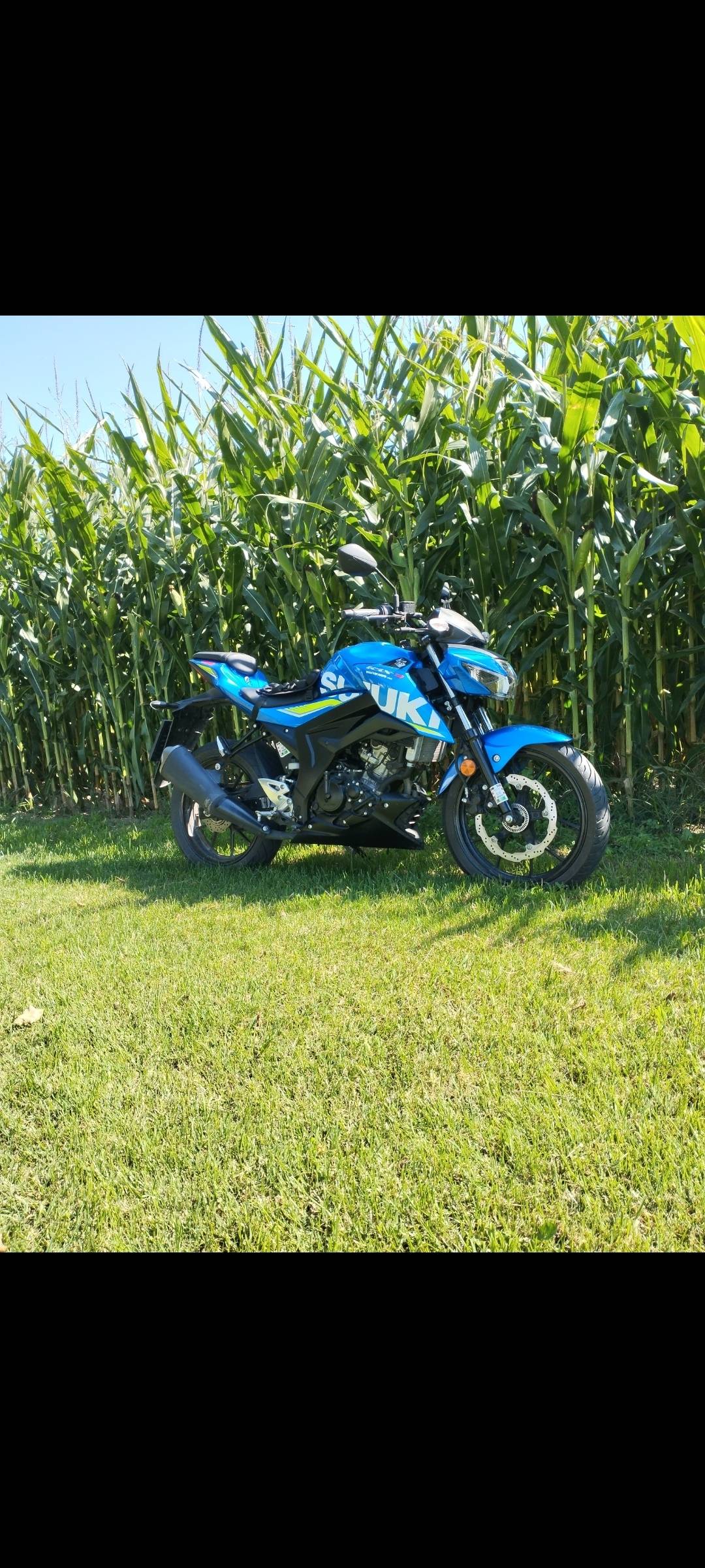 Suzuki gsx 125