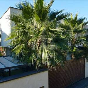 Taboo Villa–Moderna elegancija i luksuzan život