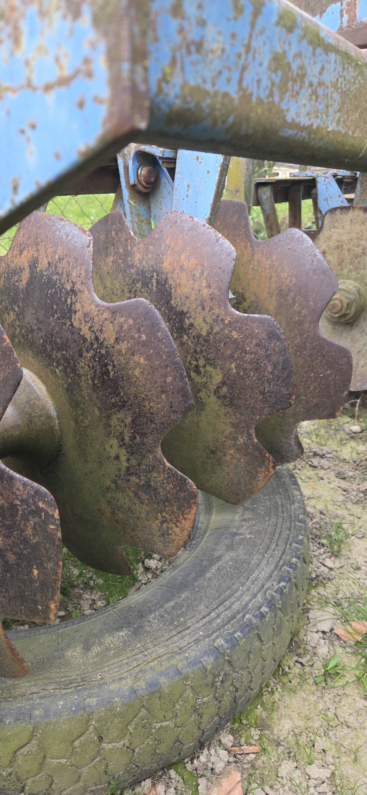 Tanjurače OLT Osijek