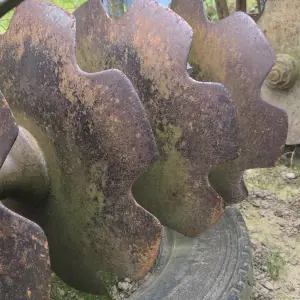 Tanjurače OLT Osijek