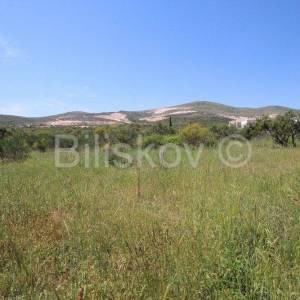 Trogir, Plano, građevinsko zemljište 2732m2, prodaja