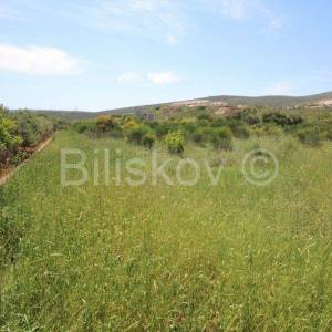 Trogir, Plano, građevinsko zemljište 2732m2, prodaja