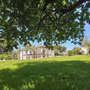 UMAG – Kuća s bazenom i tri odvojena apartmana