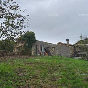 Veliko imanje s kućom i građevinskim zemljištem, okolica Buzeta