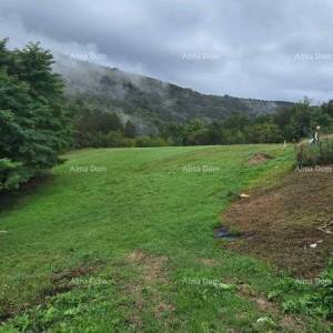 Veliko imanje s kućom i građevinskim zemljištem, okolica Buzeta