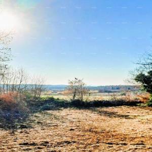 Višnjan – građevinsko zemljište 3.500 m²