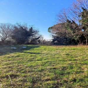 Višnjan – građevinsko zemljište 3.500 m²