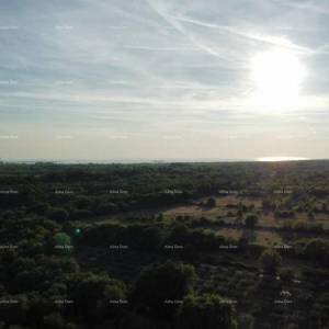 Vodnjan – građevinsko+ poljoprivredno zemljište 8000m2