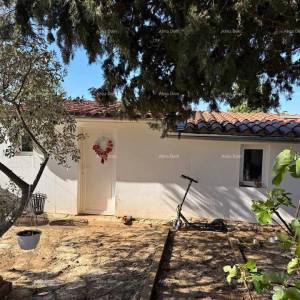 Vodnjan, Prizemnica s okućnicom