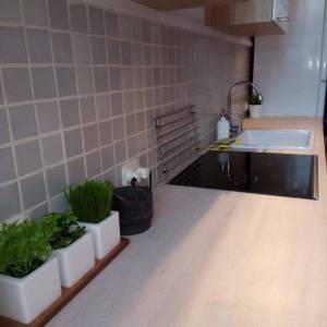 Zagreb-Maksimir, Zvonimirova, dvosobni stan 42m2, prizemlje kuće