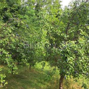 Zagreb, Prodaja,Gajnice, zemljište površine 2582 m2