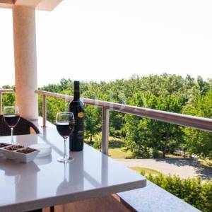 Apartmanska vila sa 8 apartmana 
