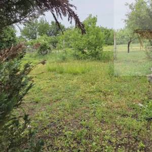 Baranja Batina vikend kuća 35 m2 legalizirana! - povoljno