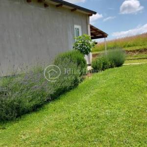 BREZOVICA/11.000 m², KUĆA S UPORABNOM I POTOK UZ PARCELU