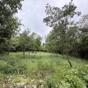 Buje – građevinsko zemljište 1.086 m² s pogledom na more