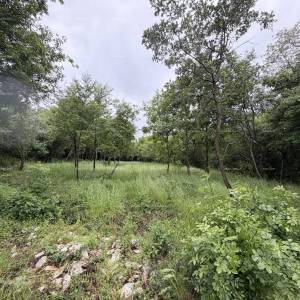 Buje – građevinsko zemljište 1.086 m² s pogledom na more