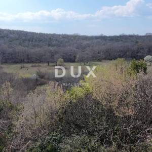 CRIKVENICA - HITNO – RIJETKO NA TRŽIŠTU! - 800 m² zemljišta s kućom