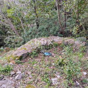 CRIKVENICA - HITNO – RIJETKO NA TRŽIŠTU! - 800 m² zemljišta s kućom
