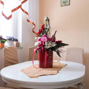 DALMACIJA, VODICE - Apartmanska kuća "Villa Lavanda" 