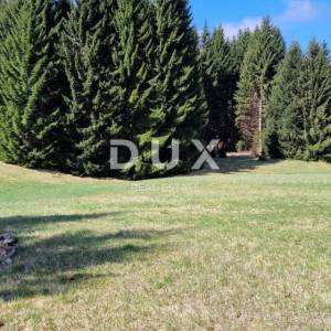 DELNICE, RAVNA GORA - zemljišta ukupne površine 13400 m2