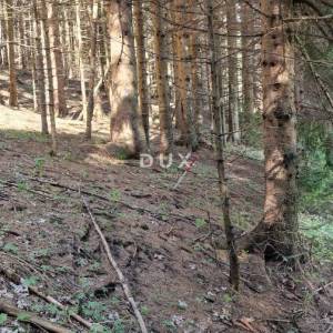 DELNICE, RAVNA GORA - zemljišta ukupne površine 13400 m2