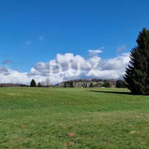 DELNICE, RAVNA GORA - zemljišta ukupne površine 13400 m2