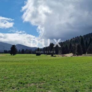 DELNICE, RAVNA GORA - zemljišta ukupne površine 13400 m2