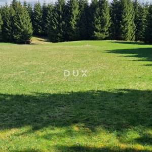DELNICE, RAVNA GORA - zemljišta ukupne površine 13400 m2