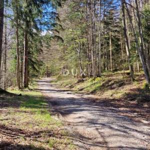 DELNICE, RAVNA GORA - zemljišta ukupne površine 13400 m2