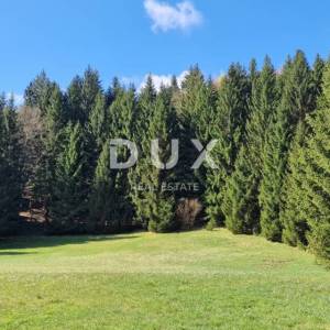 DELNICE, RAVNA GORA - zemljišta ukupne površine 13400 m2