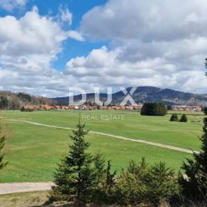 DELNICE, RAVNA GORA - zemljišta ukupne površine 13400 m2