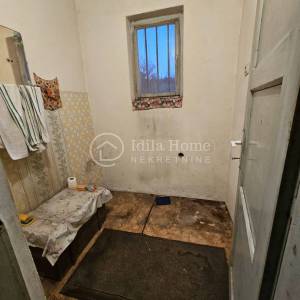 Desinić /kuća sa 2000m2 okućnice/ za život ili najam/Povoljno! 