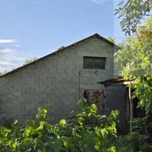 Draž Baranja kuća + pomoćni objekti 571 m2, zemljište 2570 m2 