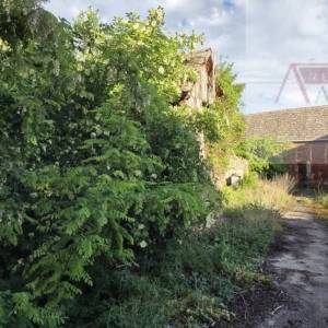 Draž Baranja kuća + pomoćni objekti 571 m2, zemljište 2570 m2 