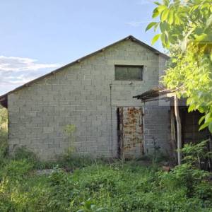 Draž Baranja kuća + pomoćni objekti 571 m2, zemljište 2570 m2 