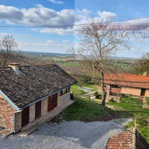 Draž obiteljska vinarija sa stambenim dijelom 766 m2 na 1,7ha
