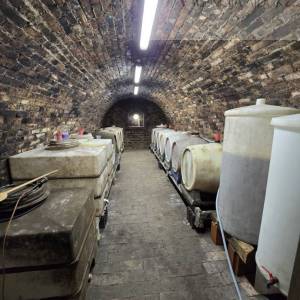 Draž obiteljska vinarija sa stambenim dijelom 766 m2 na 1,7ha