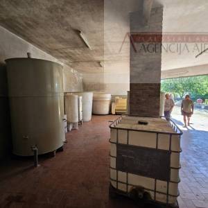 Draž obiteljska vinarija sa stambenim dijelom 766 m2 na 1,7ha