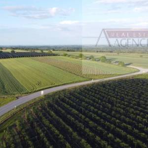 Draž planina vikendica 48 m2 na parceli od 3474 m2