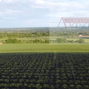 Draž planina vikendica 48 m2 na parceli od 3474 m2
