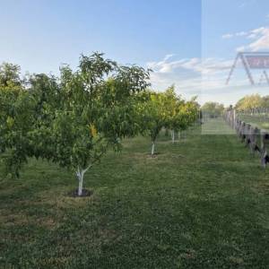 Draž planina vikendica 48 m2 na parceli od 3474 m2