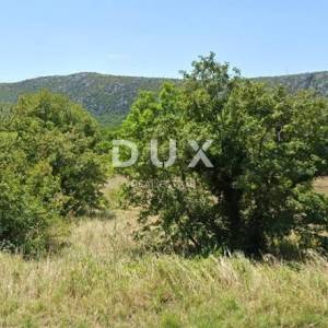 DRIVENIK - poljoprivredno zemljište – 2 parcele 967 m², 70 m od ceste, blizina mora!